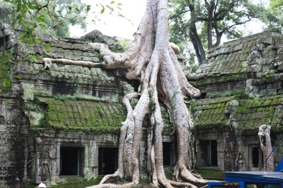 Ta Prohm