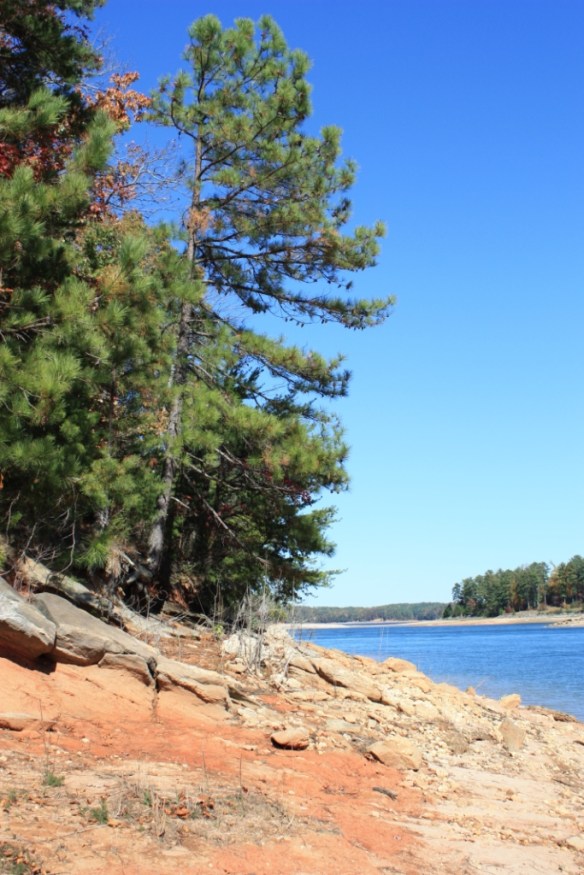 Taken in the autumn of 2011