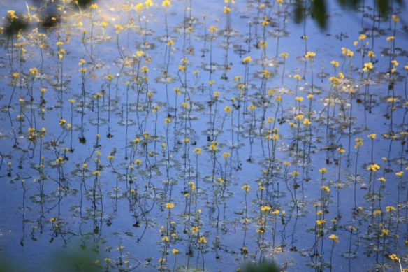 April 2012; Yellow River, Georgia