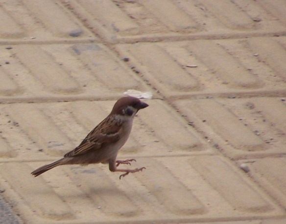 Taken in Beijing in the summer of 2008 near the Olympic venues
