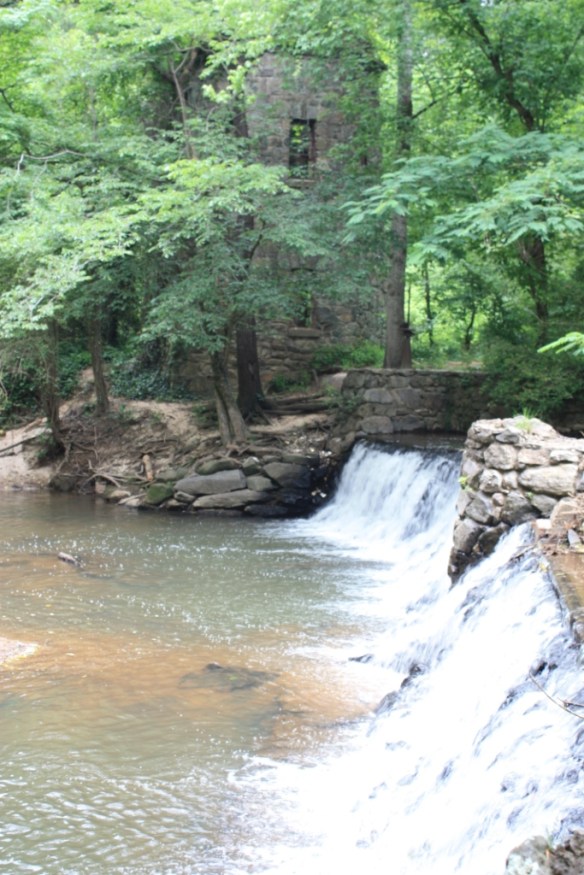 Taken June 2013 at Lullwater Park in Atlanta.