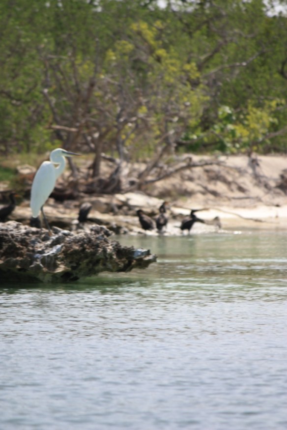 Take in the summer of 2009.