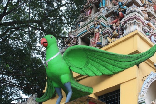 Taken in September of 2013 in Bangalore.