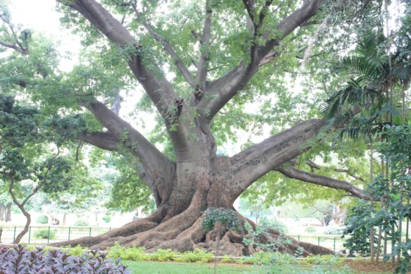 Taken September 3, 2013