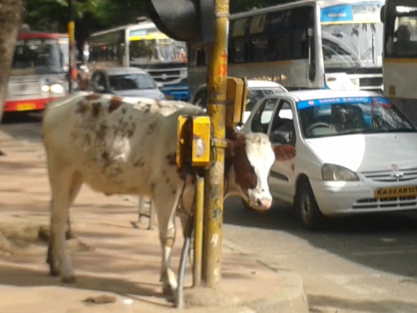 Taken October 8, 2013 in Bangalore. 