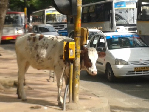 Taken October 8, 2013 in Bangalore. 
