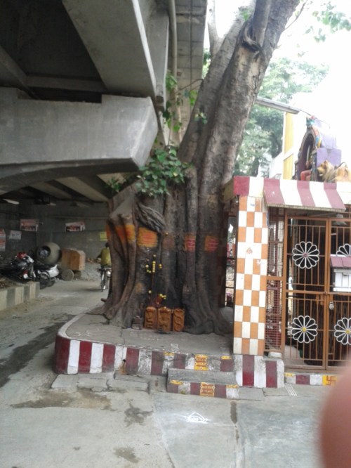 Taken December 7, 2013 in Cox Town.