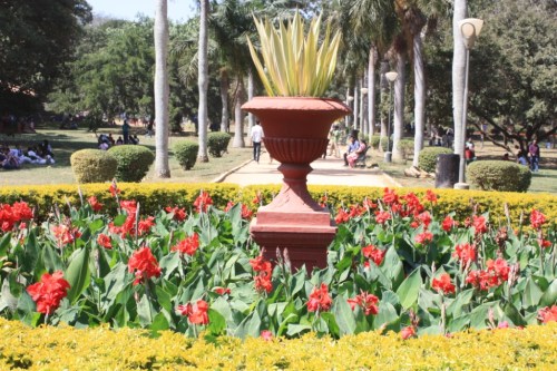 Taken on January 26, 2014 at Lal Bagh Botanical Gardens in Bangalore.