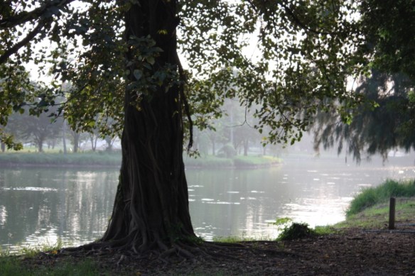 Taken in October of 2012 in Ayutthaya. 