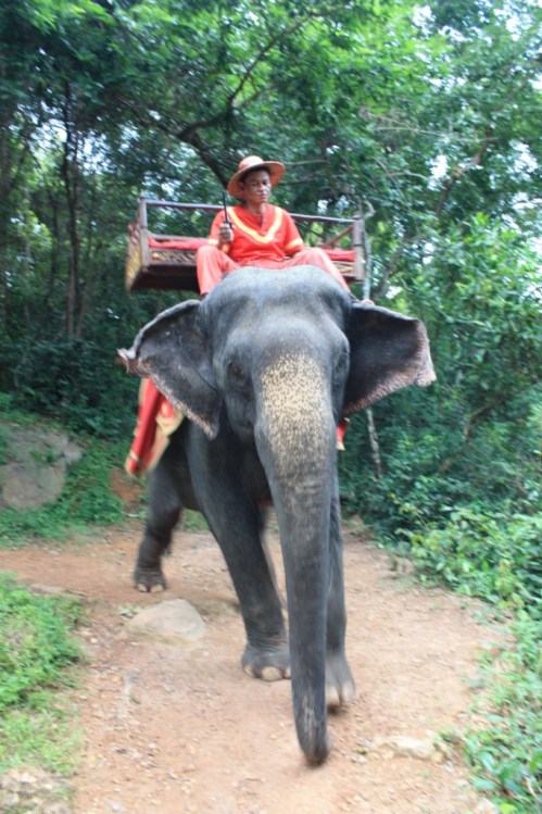 Taken in October 2013 at Angkor, Cambodia.