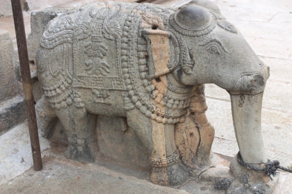 Taken in November of 2013 in Mysore