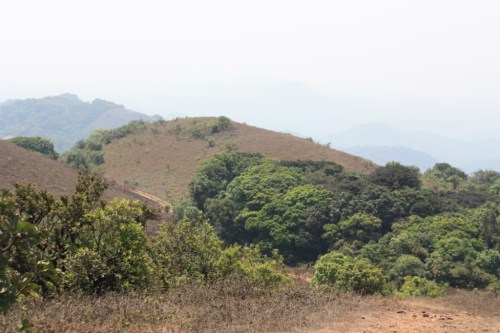 Taken on March 30, 2014 in Coorg