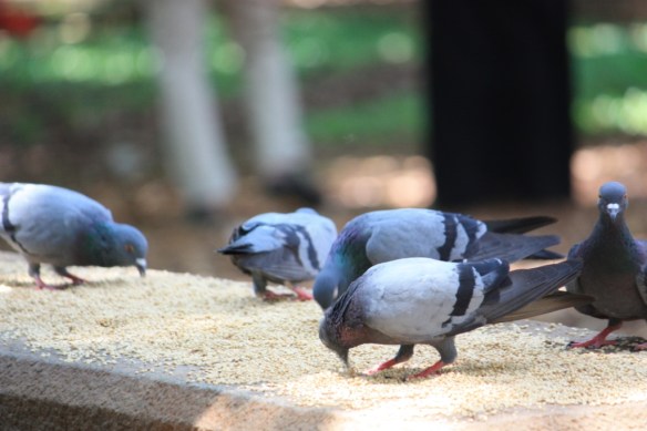 Taken May 18, 2014 in Bangalore