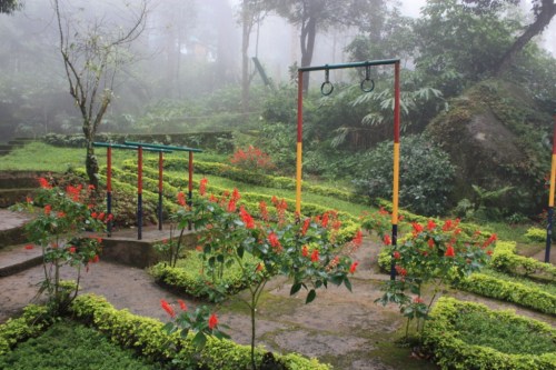 Taken in March of 2014 in Munnar