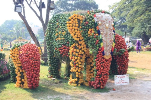 Taken October 3, 2014 in Mysore.