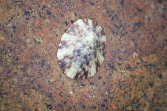 Taken in January of 2014 at Naiharn on Phuket