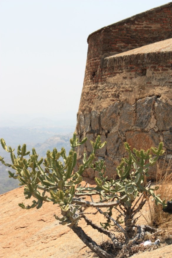 Taken on March 28, 2015 at Savanadurga.