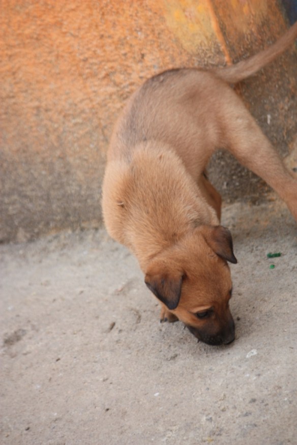 Taken March 28, 2015 at Savanadurga