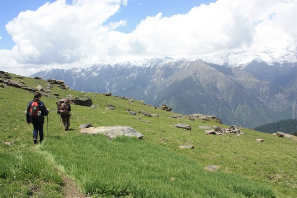 Taken on June 10, 2015 near Dhel in Great Himalayan National Park (GHNP)