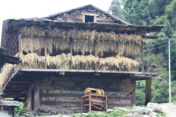 Taken on June 15, 2015 in Himachal Pradesh