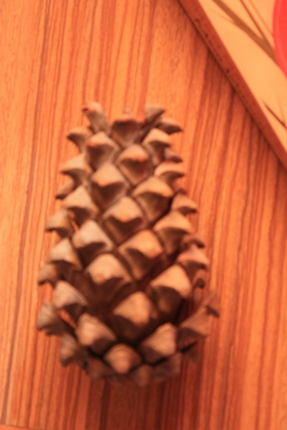 Taken on June 16, 2015 in Manali