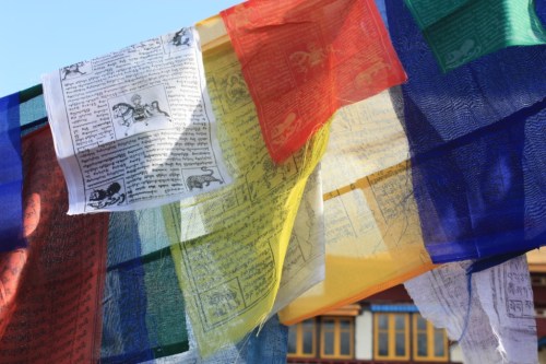 Taken on June 16, 2015 in Manali