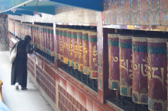 Taken on June 23, 2015 in McLeodganj