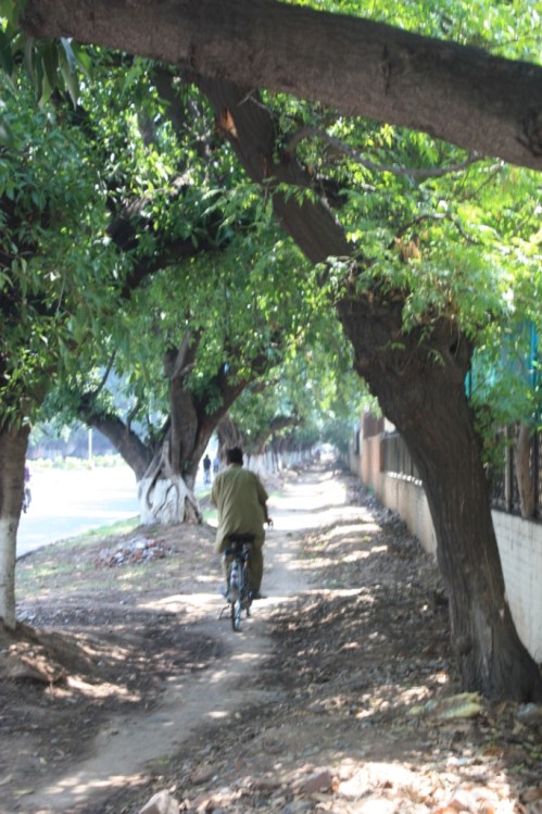 Taken on June 26, 2015 in Chandigarh