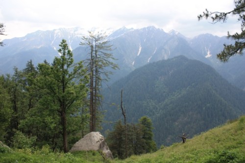 Taken in June of 2015 in Great Himalayan National Park