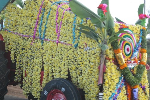 Taken in November of 2013 in Karnataka, India