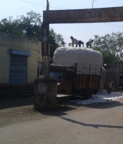 Taken in November of 2014 in Fardapur, India