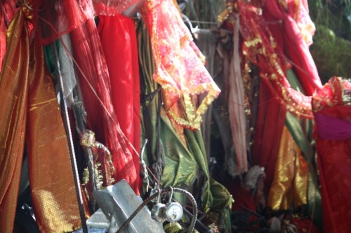 Taken in July of 2015 in Great Himalayan National Park