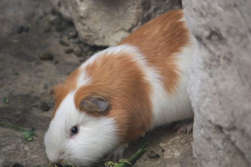 Taken in Arequipa, Peru in July of 2010