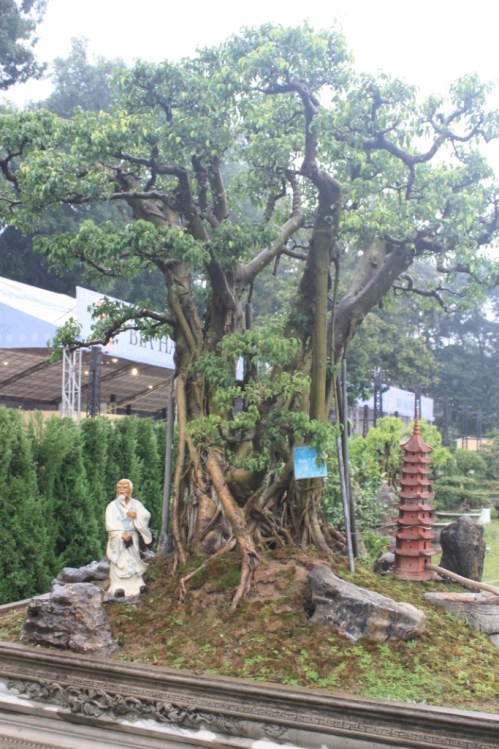 This one was located at the Imperial Citadel of Thang Long in Hanoi.