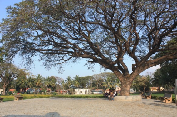 Taken in January of 2016 at Chennakesava Temple  in Somanathapura