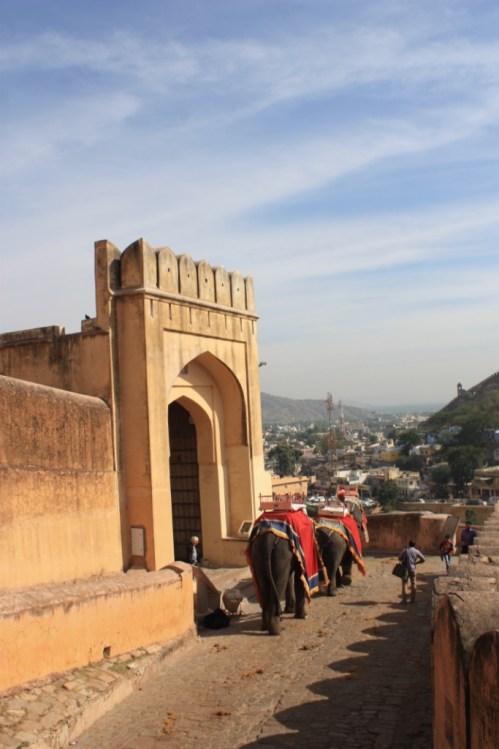 Taken in November 2015 in Jaipur