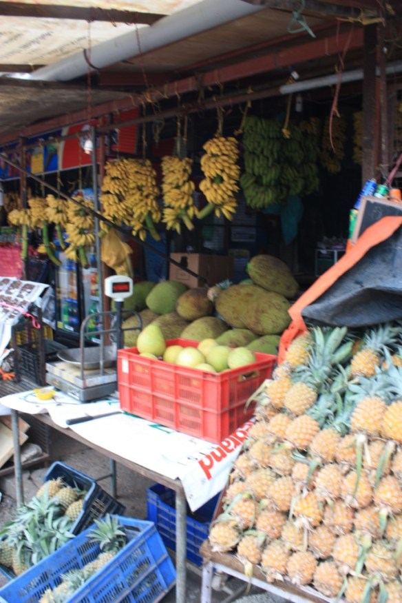 Taken in July of 2014 in Kochi (Cochin)