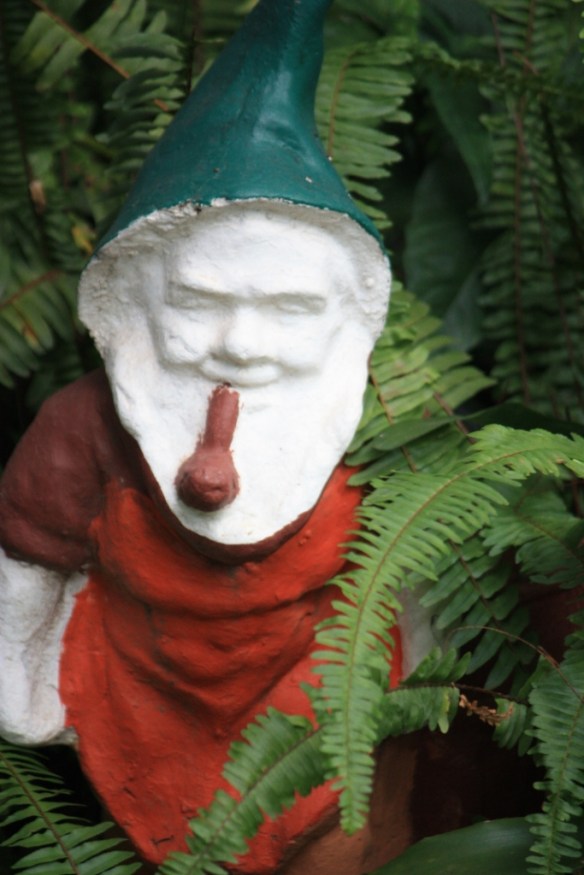 Taken in May of 2016 in Lusaka, Zambia