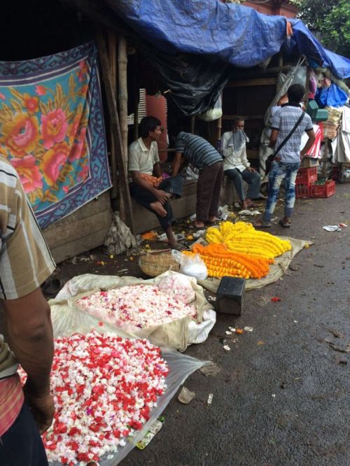 Taken on July 2, 2016 in Kolkata
