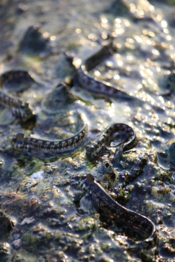 Taken in January of 2014 in Phuket, Thailand