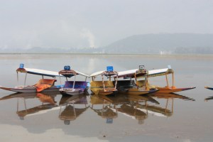 Taken in July of 2016 on Dal Lake, Srinagar