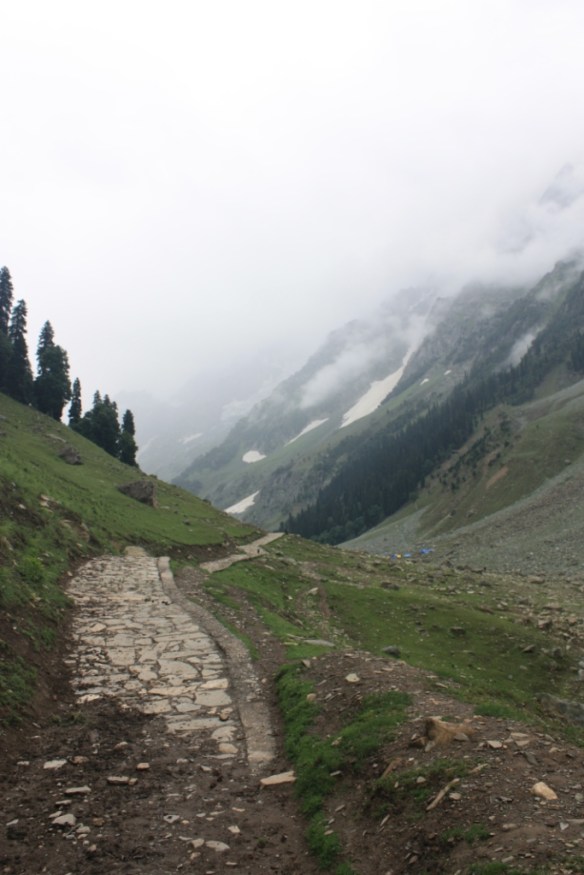 Taken in July of 2016 near Sonamarg