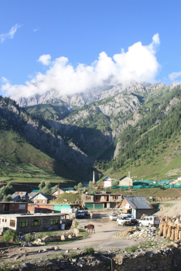 Taken in July of 2016 in Sonamarg