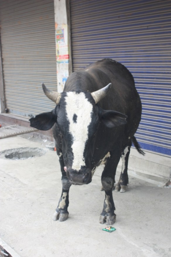 Taken in April of 2016 in Amritsar