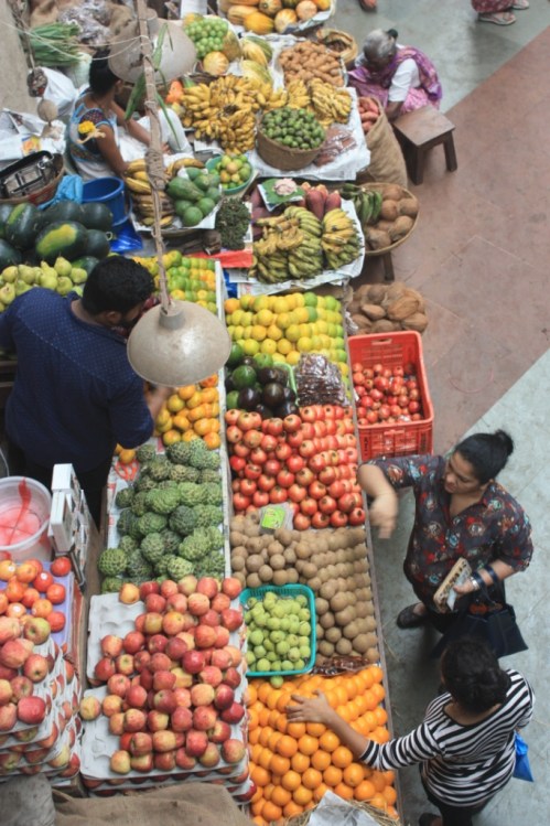 Taken in October of 2016 in Panjim, Goa
