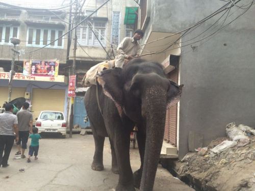 Taken in April of 2016 in Amritsar