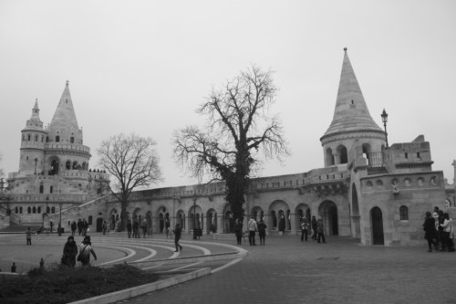 Monochrone landscape orientation