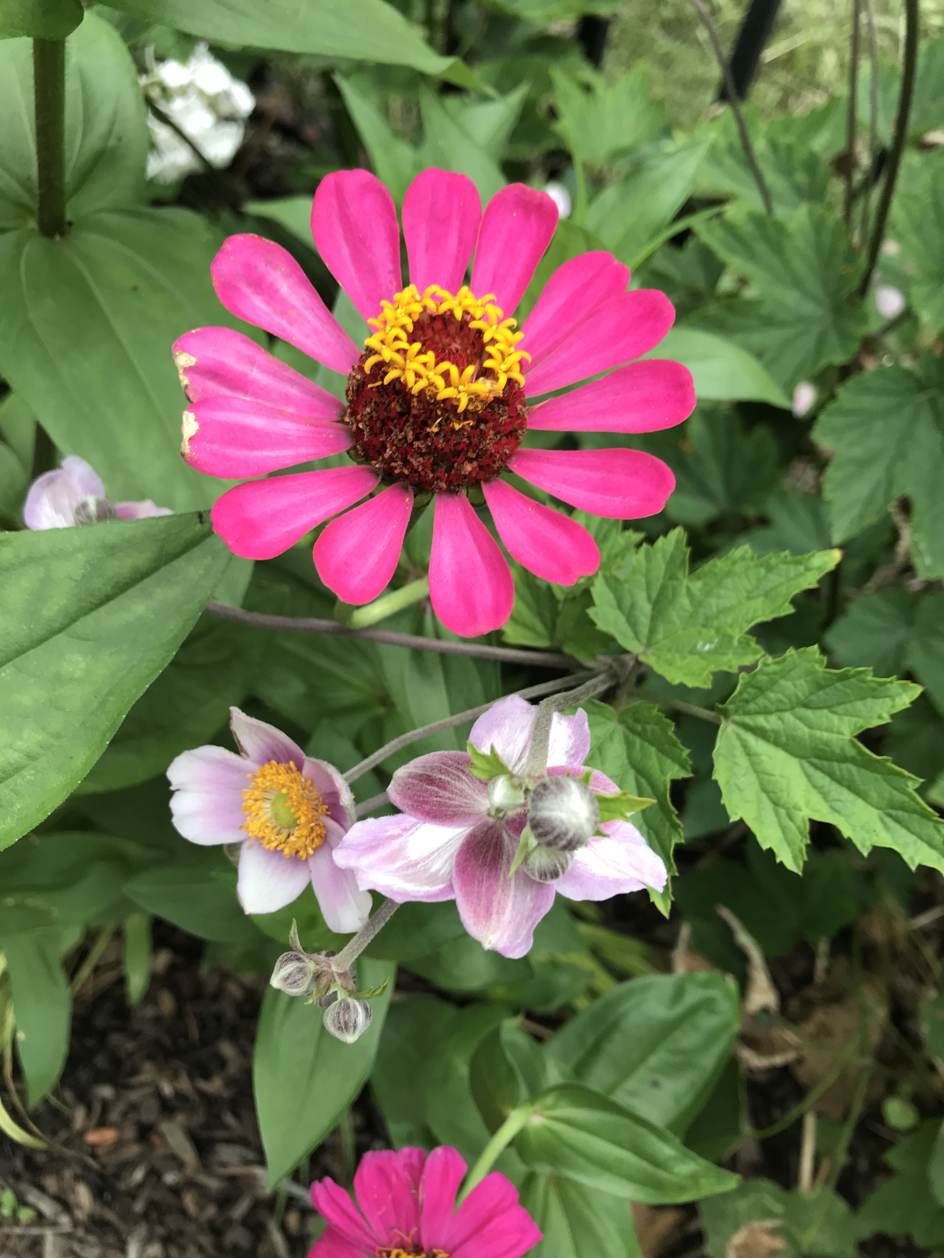 004445C8-E742-4ADC-B10E-C69D660870FA