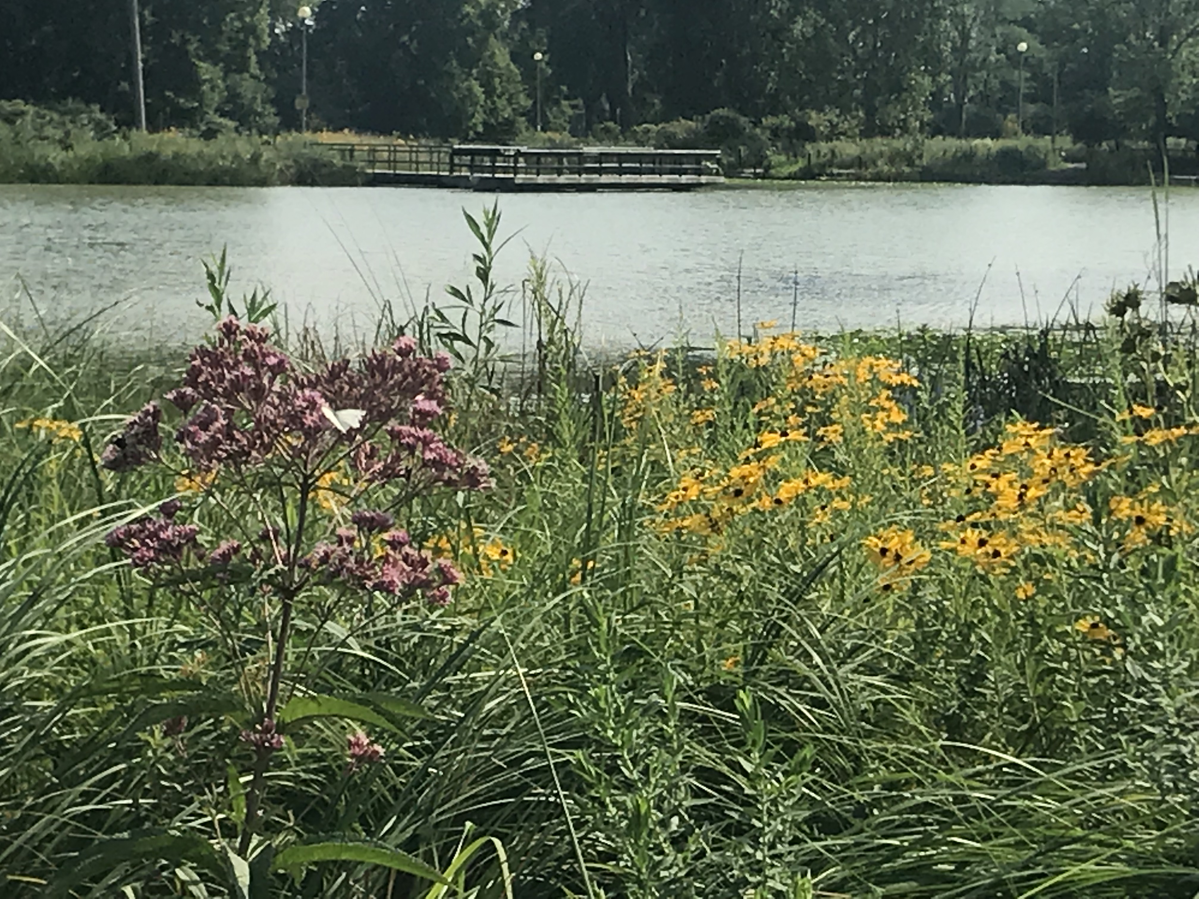 399B9F60-00A4-44C8-8D21-BB847F2C23A9