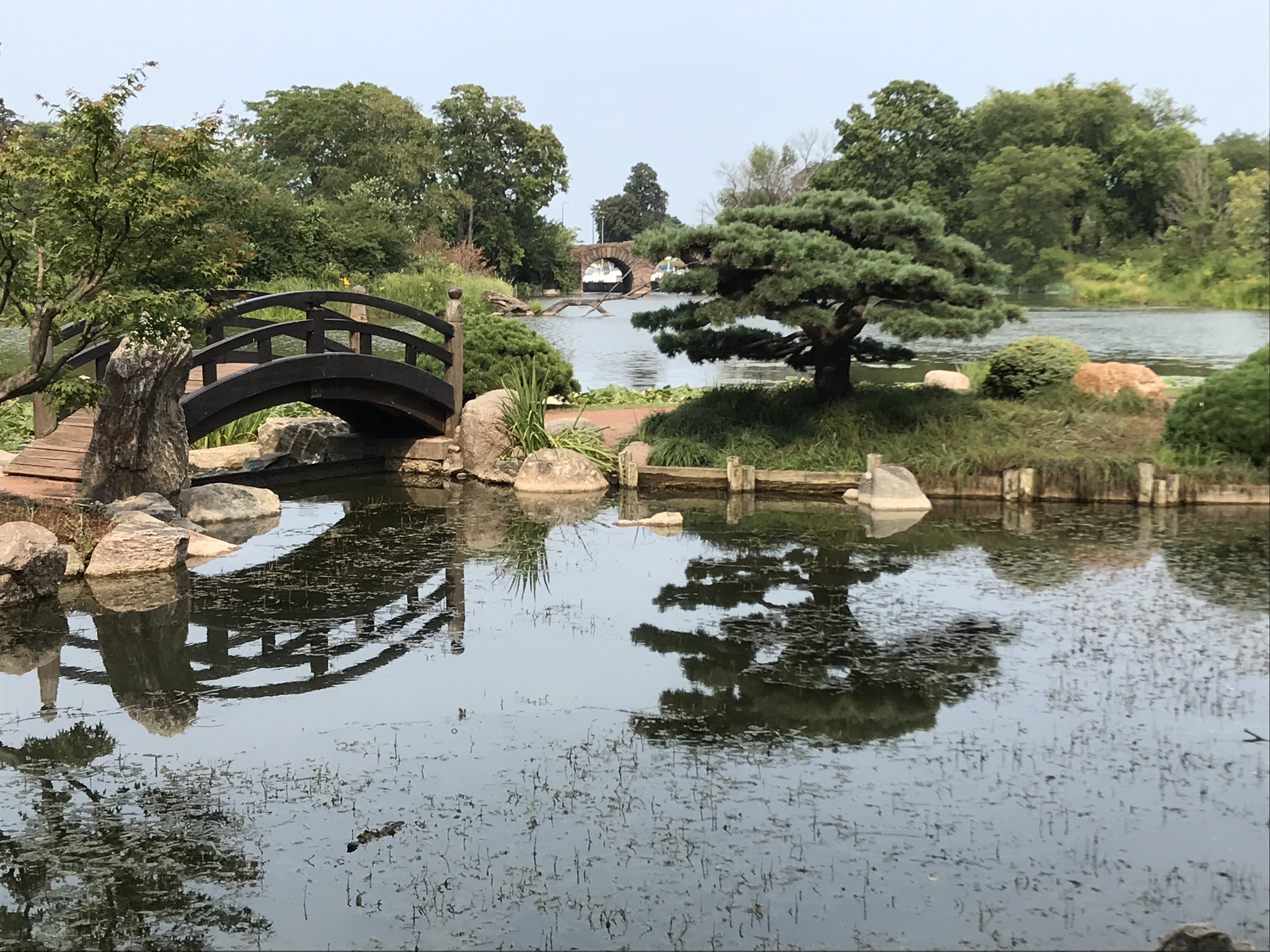 98103A91-08BB-4584-A763-9AD25AF8E18F